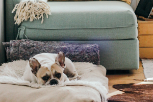 How to Secure Your Wi-Fi Network at Home and Block Wi-Fi Hackers