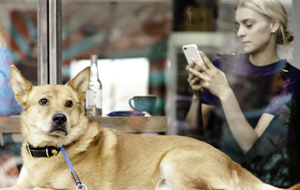 How to Protect Yourself from Hackers: the Ultimate Guide